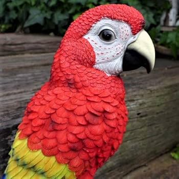 Amazon.co.jp: 小鳥の置物 オウムの置物 L赤 7589H インコ